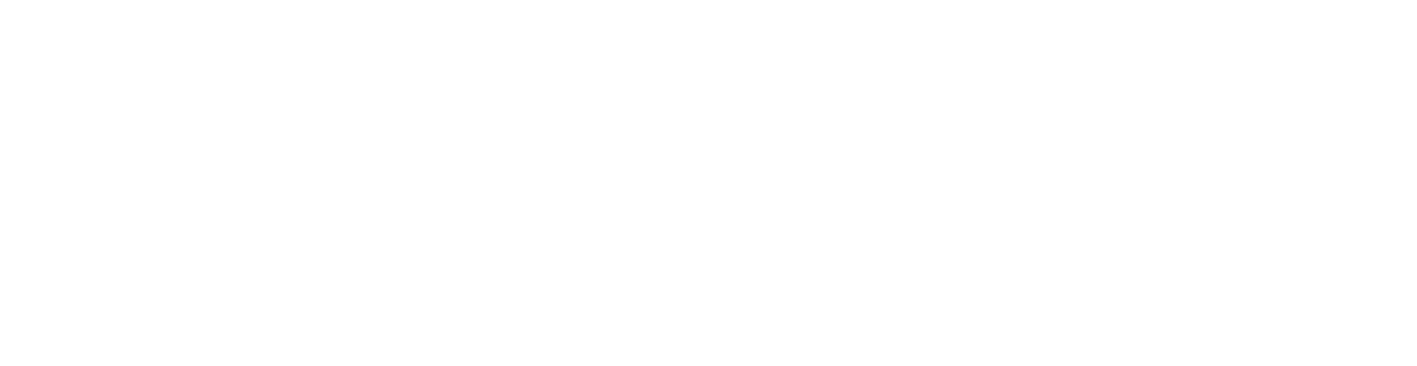 The Rooflight Co.
